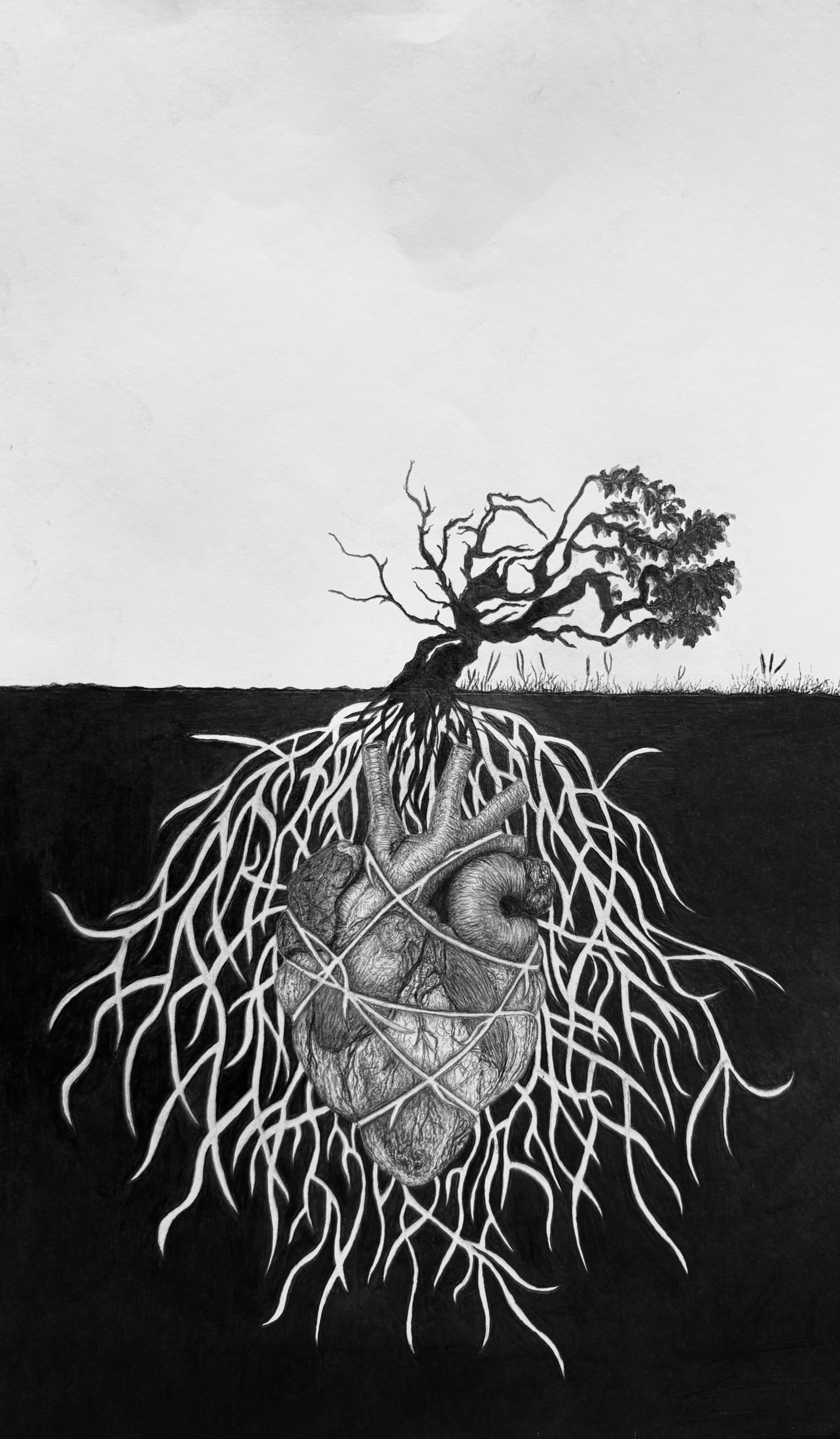 Black and white art print featuring a detailed illustration of a human heart wrapped in vines and roots, with a bare tree growing from the top, set against a dark ground and light sky.